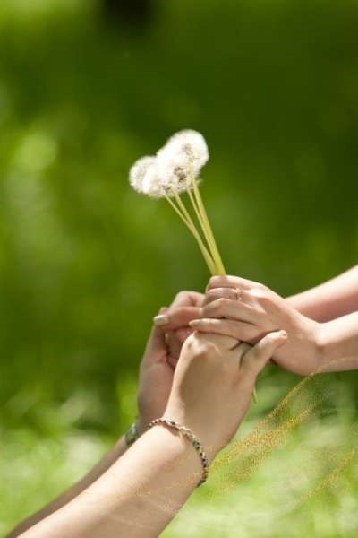 Dandelion meaning in love