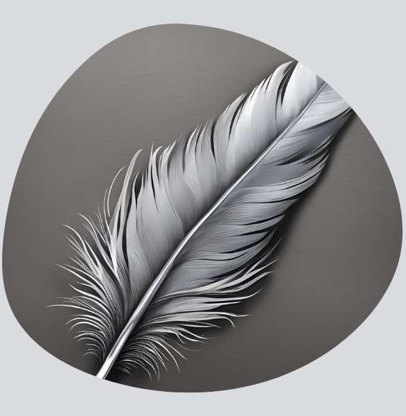 Grey feather meaning love