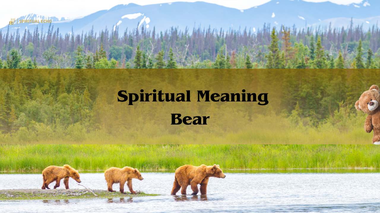 Spiritual Meaning Bear | Bear Spirit Animal Symbolism