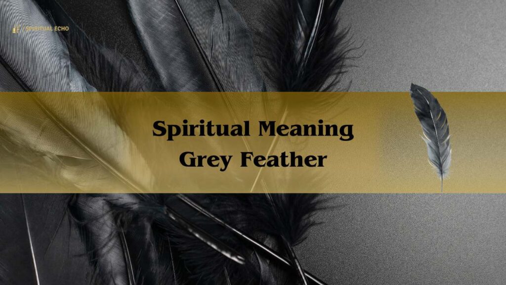 Spiritual Meaning Grey Feather Symbolism
