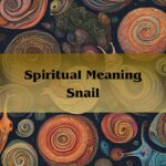 Spiritual Meaning Snail: Shell Meaning And Symbolism