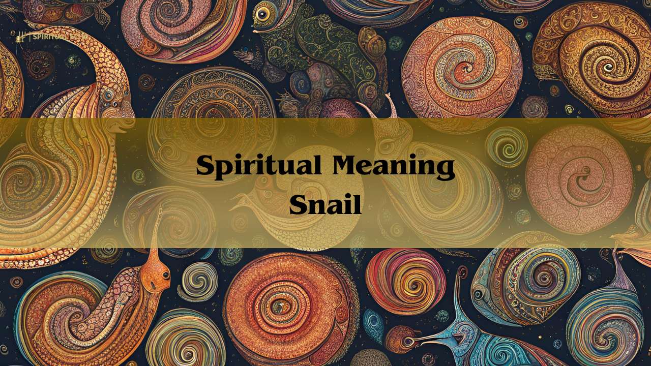 Spiritual Meaning Snail: Spirit Animal