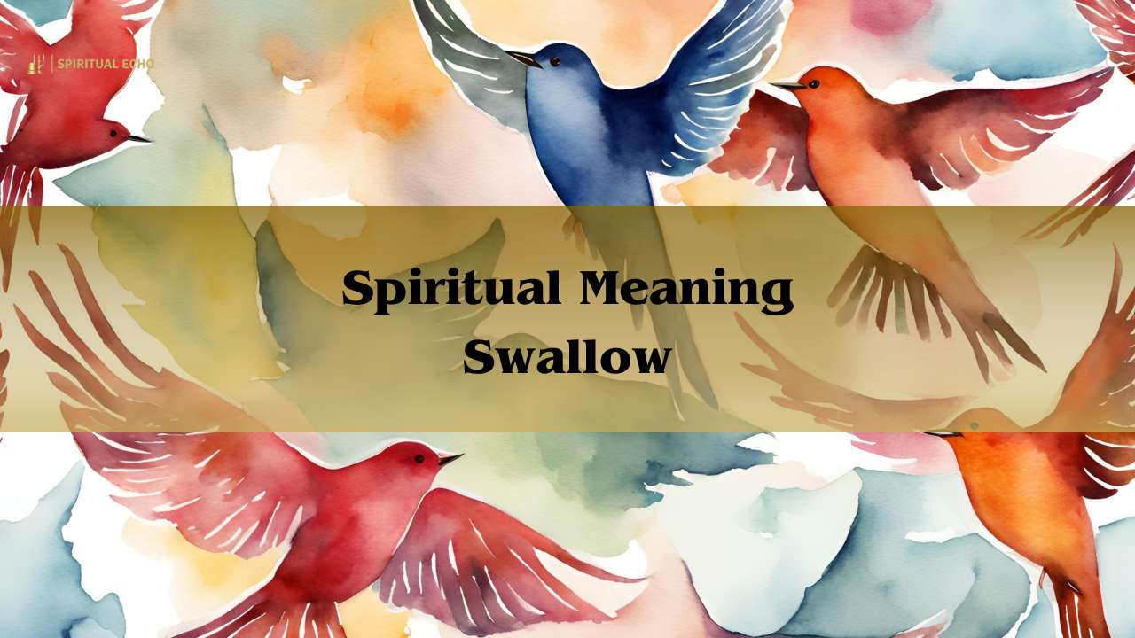 Spiritual Meaning Swallow: Symbolic Meaning Of The Swallow Bird 