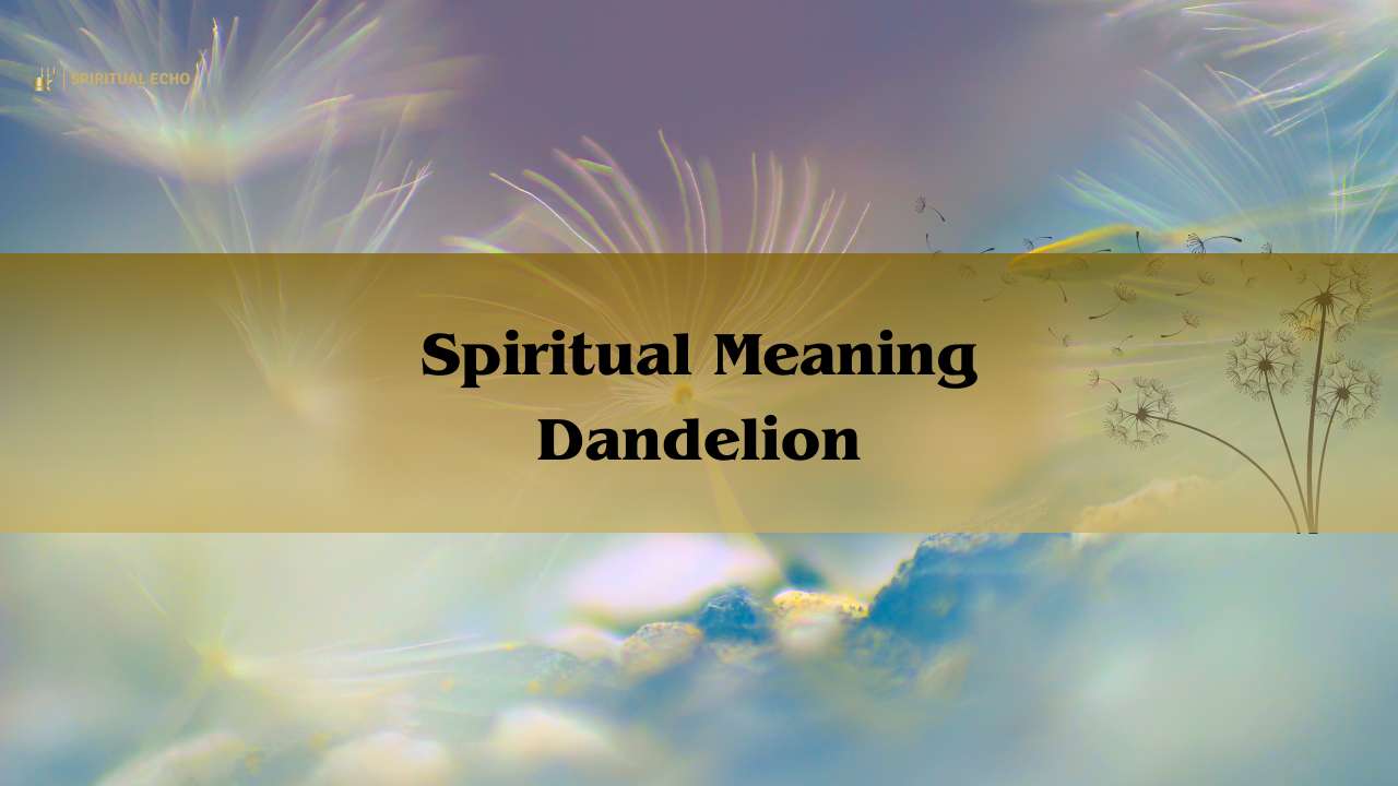 Spiritual meaning dandelion