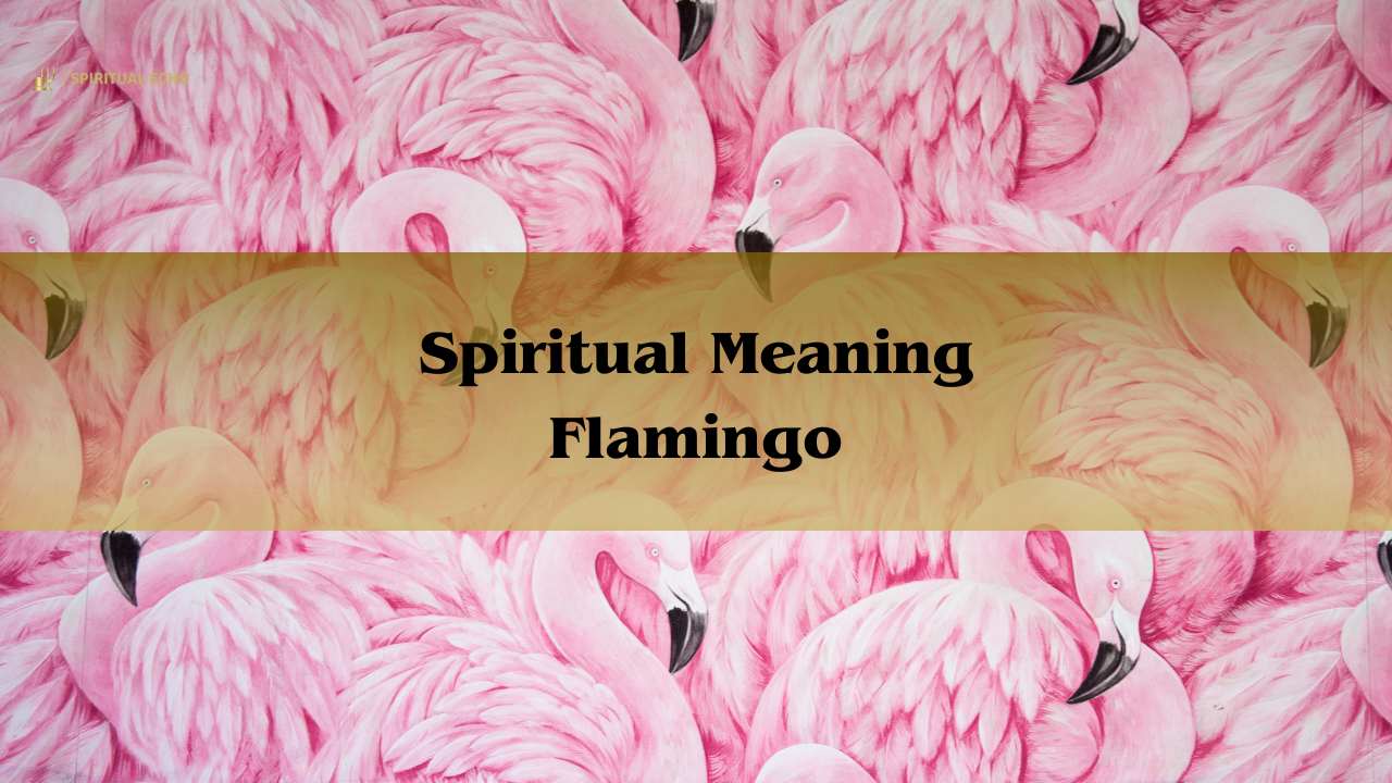 Spiritual Meaning Flamingo: Spirit Animal