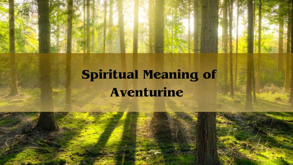 Spiritual Meaning Trees: Significance Of Trees