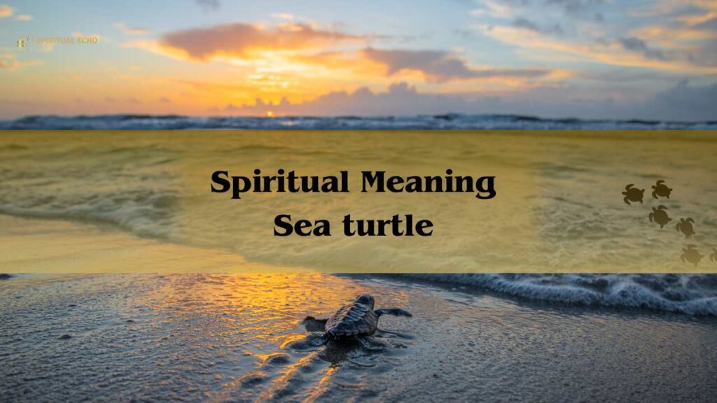 Spiritual Meaning Sea Turtle: Symbolism