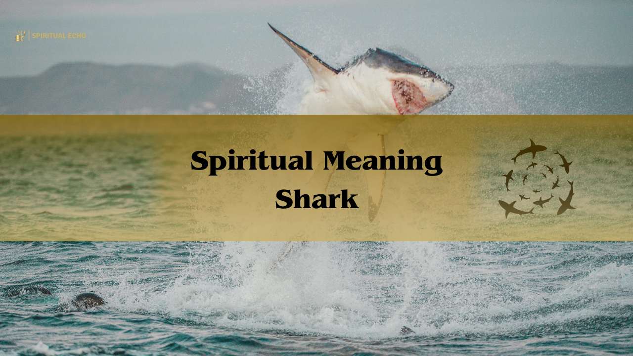 Spiritual Meaning Shark: Meaning Of Shark Symbolism