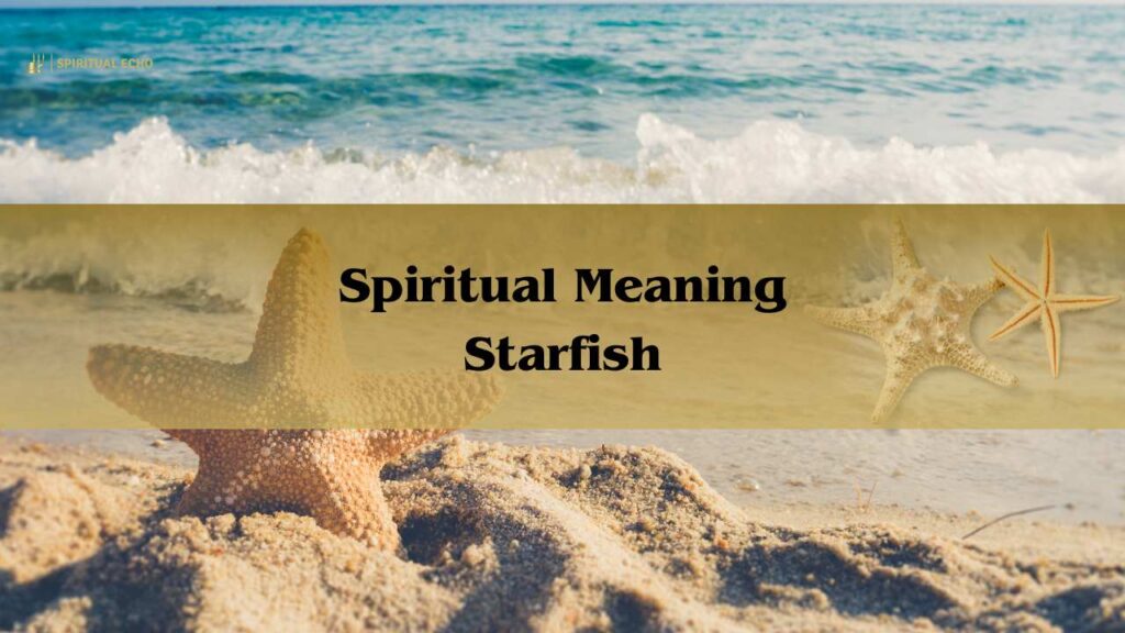 Spiritual Meaning Starfish: Meaning And Symbolism