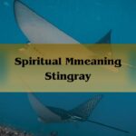 Spiritual Meaning Stingray: Spirit Animal Meaning And Symbolism