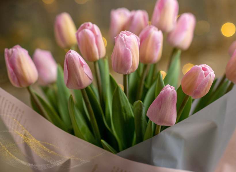 The Spiritual Significance Of Tulips In Different Cultures And Traditions