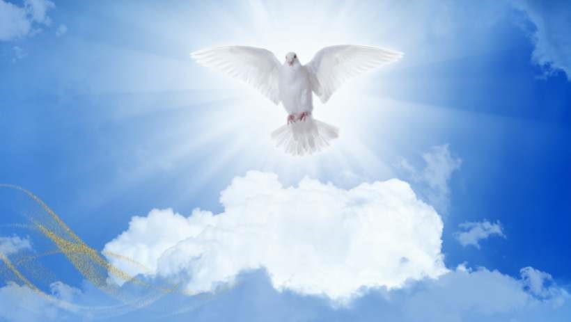 White Doves In Spiritual Practices And Ceremonies