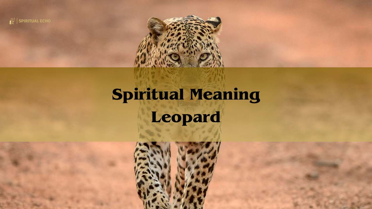 Spiritual Meaning Leopard