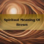 Spiritual Meaning Of Brown: Significance Of The Color Brown