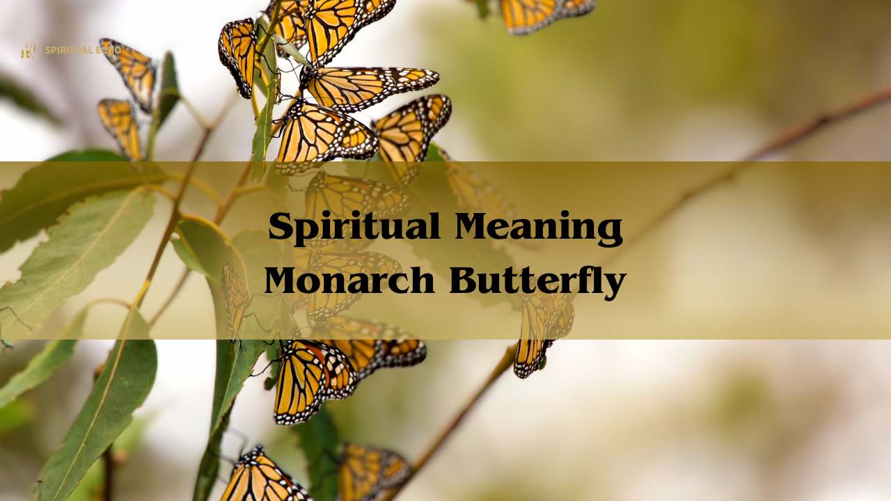 Spiritual meaning monarch butterfly