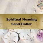 Spiritual Meaning Sand Dollar | Sand Dollar Symbolism 