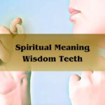 Spiritual Meaning Wisdom Teeth: Spiritual Meaning Of Wisdom Teeth