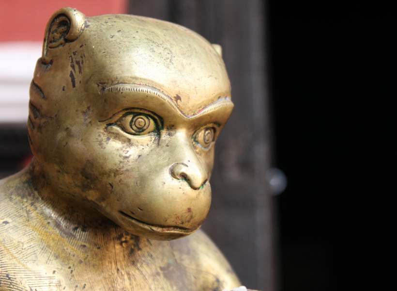 Trickster Archetype: Exploring The Mischievous Side Of Monkey Symbolism And Meaning
