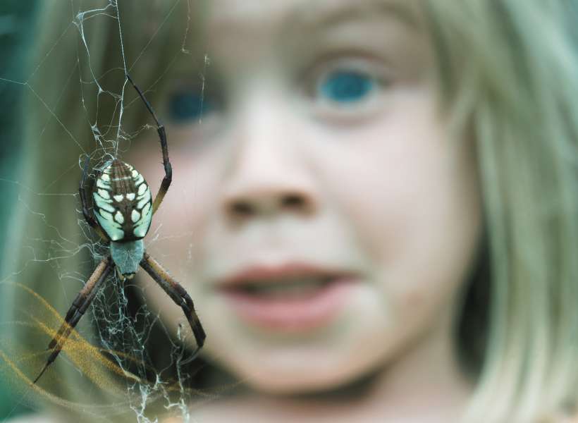 Confronting Fears And Anxieties Represented By The Spider Bite