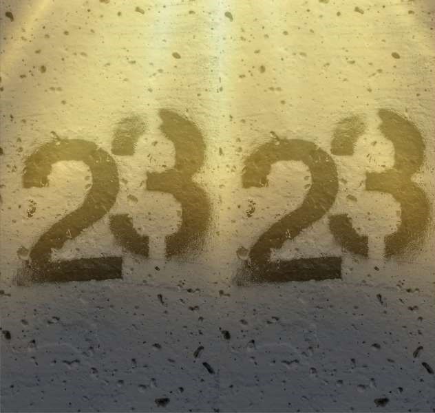 2323 angel number career