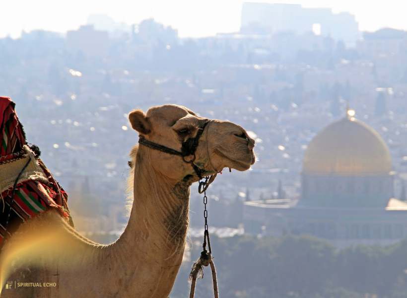 Camel symbolism Islam