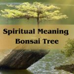 Spiritual Meaning Bonsai Tree: Bonsai Tree Meaning