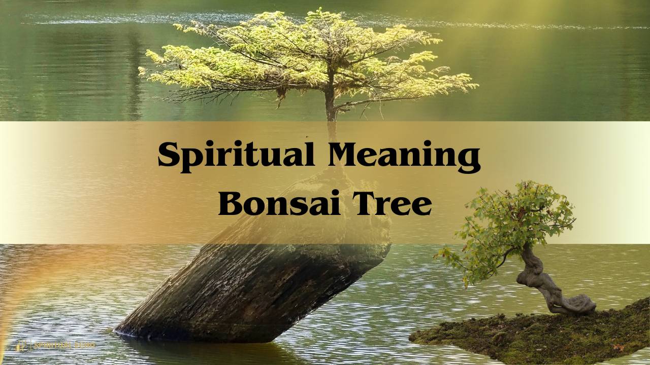 Spiritual Meaning Bonsai Tree