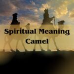 Spiritual Meaning Camel: Symbolism Camel Spirit Animal