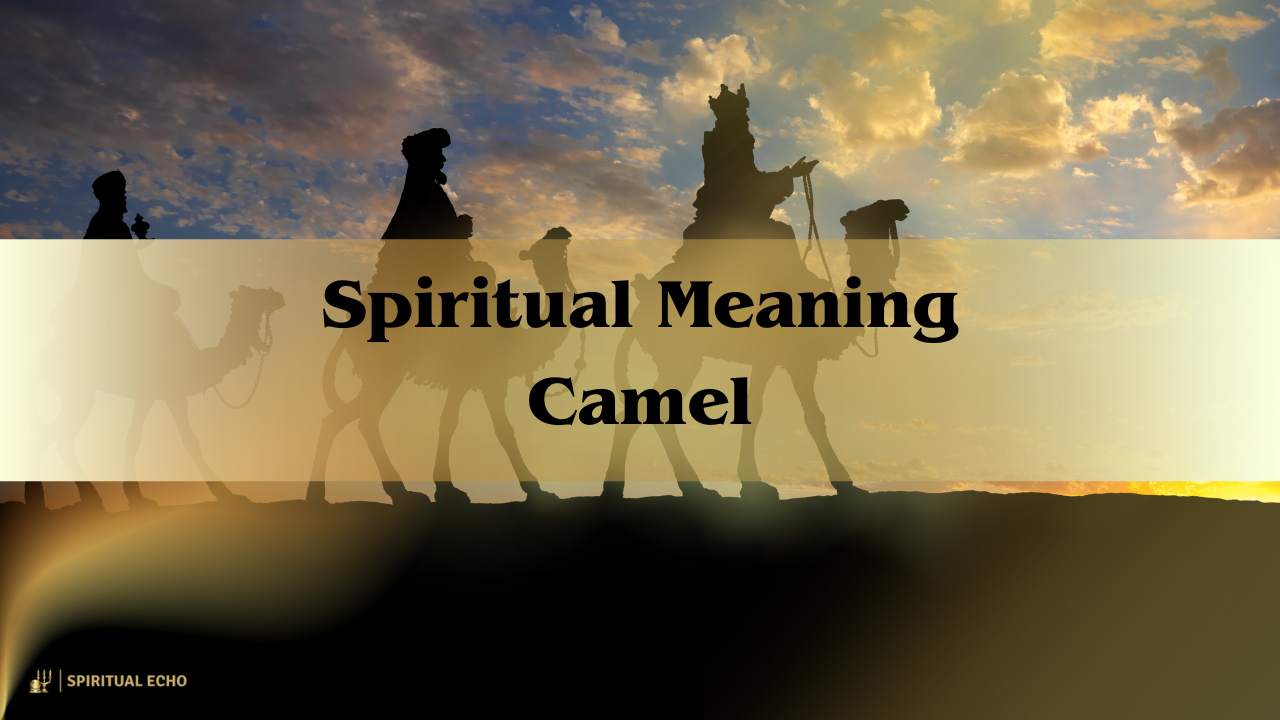 Spiritual Meaning Camel