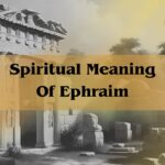 Spiritual Meaning Pneumonia: Meaning Of Pneumonia