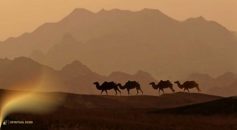 To See A Camel In A Dream: Islamic Interpretation