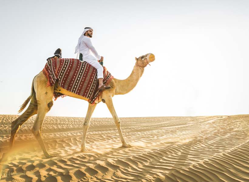 Understanding The Symbolism Of The Camel In Various Cultures