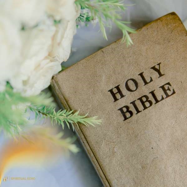 Biblical meaning of Gethsemane