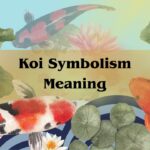 Koi Symbolism Meaning: Koi Fish And Its Meaning