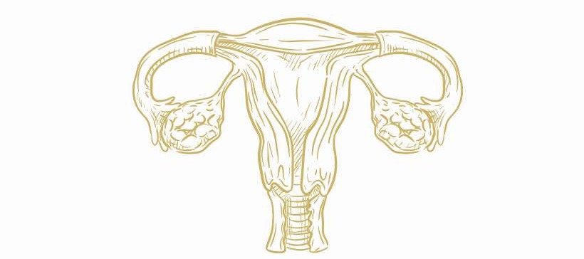 Metaphysical Meaning Endometriosis