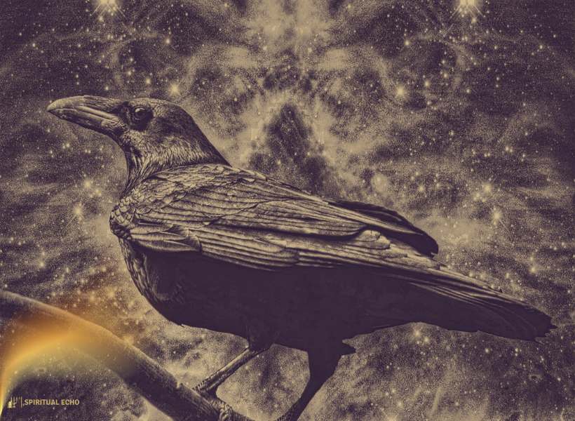Raven Symbolism In Modern Spirituality
