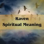 Discover The Raven Spiritual Meaning: Insights Revealed