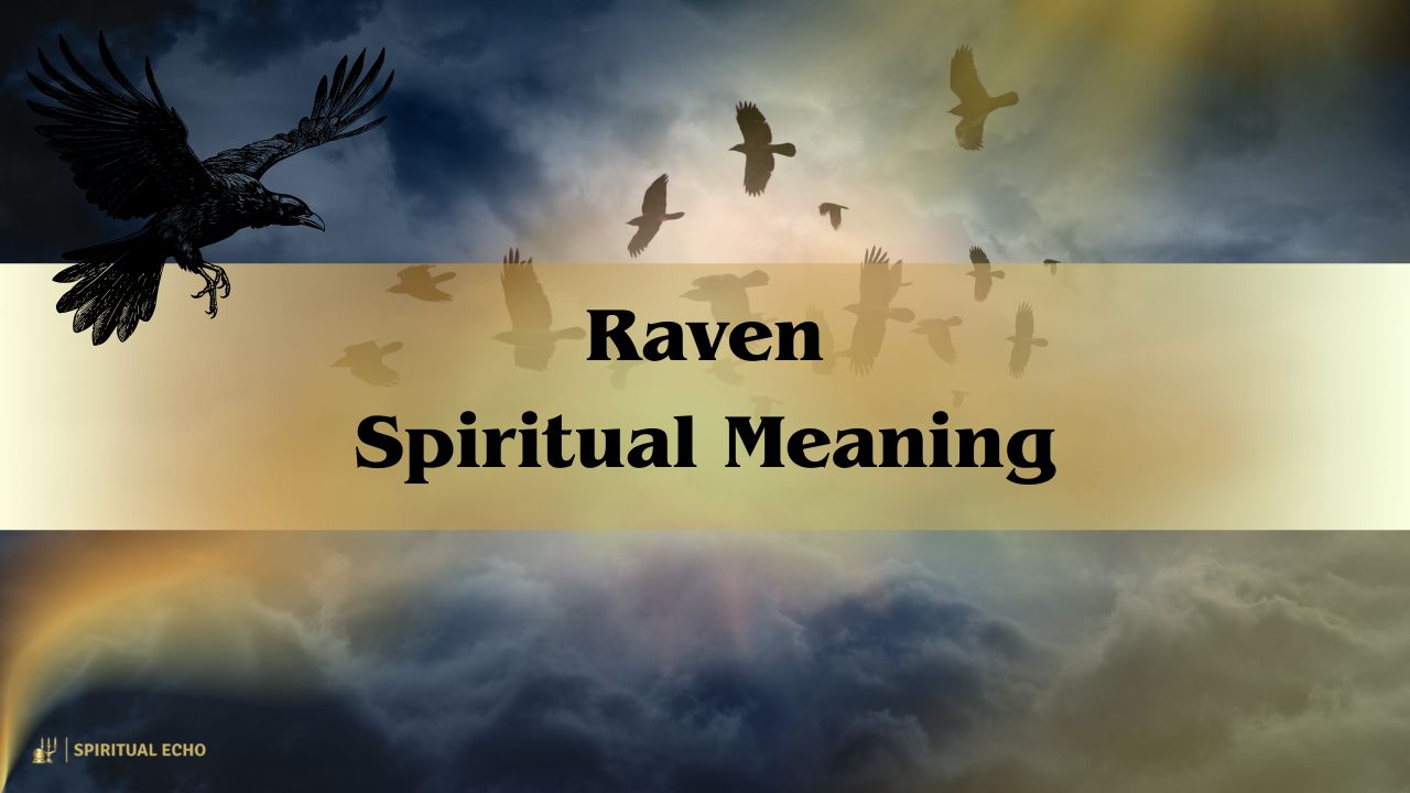 Raven spiritual meaning
