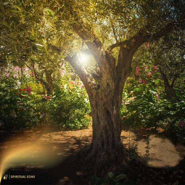 Sacred meaning of Gethsemane