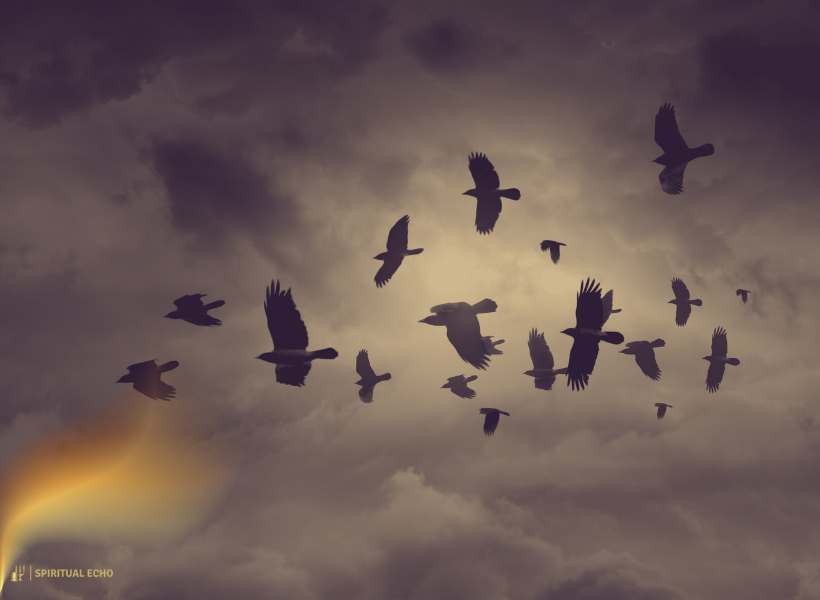 Spiritual Message Of Raven