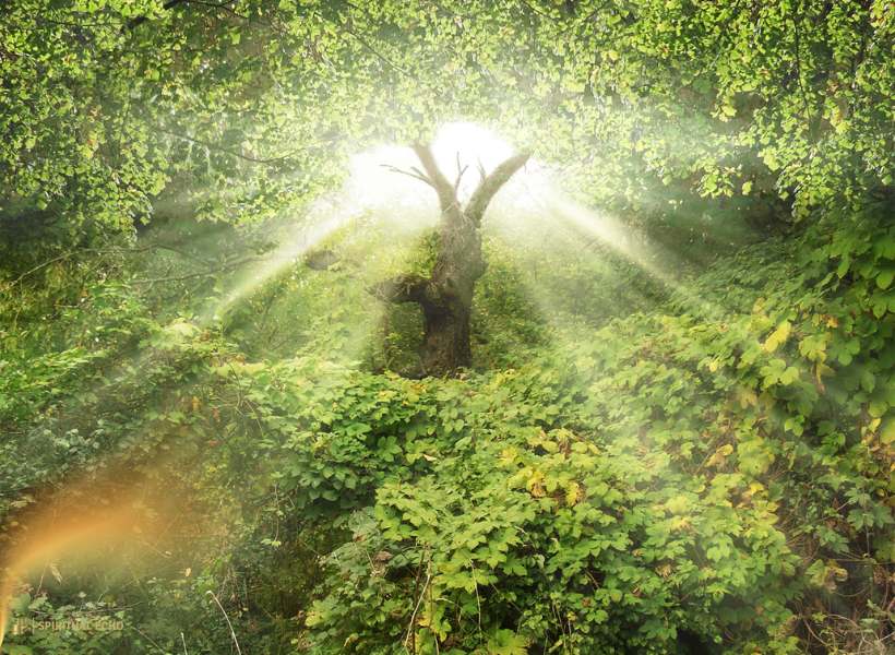 The Tabernacle In Mystical Traditions