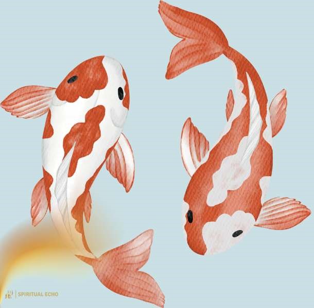 Two Koi fish symbolism