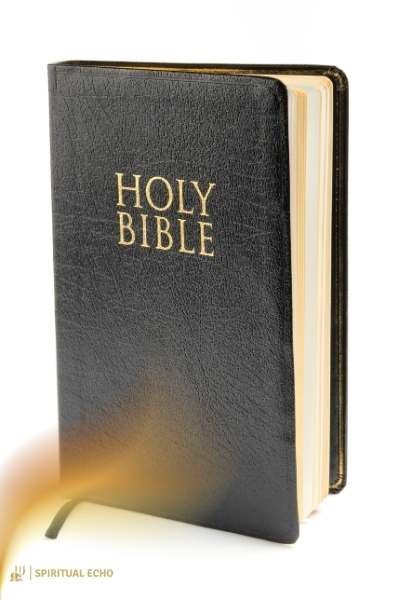 Hephzibah biblical meaning