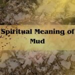 Spiritual Meaning Of Mud: Rising Through The Mess To Find Growth And Clarity