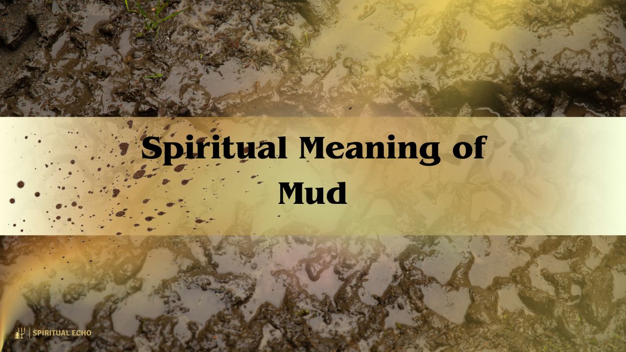 Spiritual Meaning Of Mud: Rising Through The Mess To Find Growth And Clarity