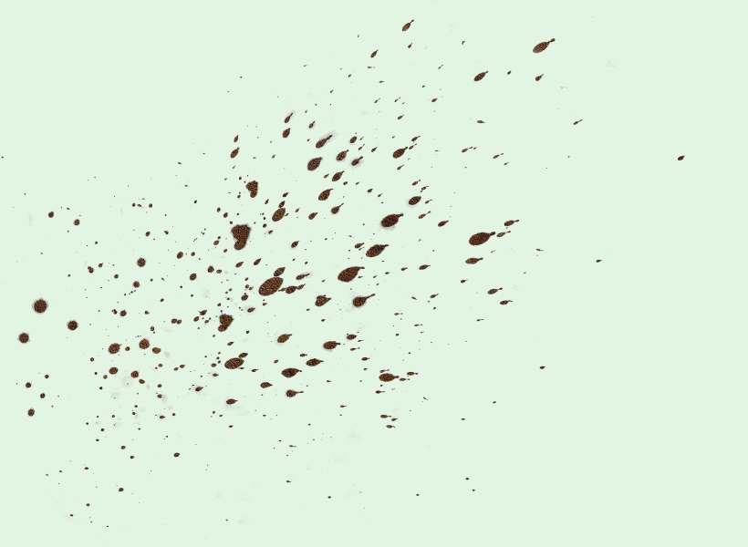 Symbolic meaning of mud